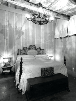 picture of Restoration and Hotels / Restaurants 