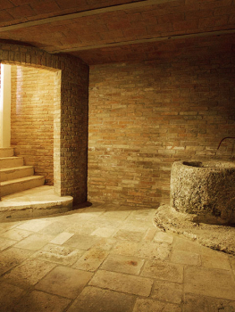 picture of Conversion and Restoration 