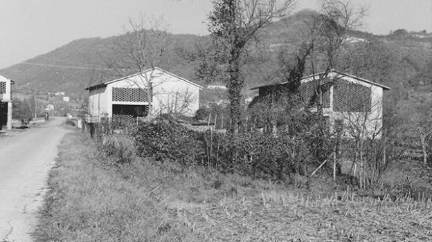 picture of Single-Family Homes and Renovation 