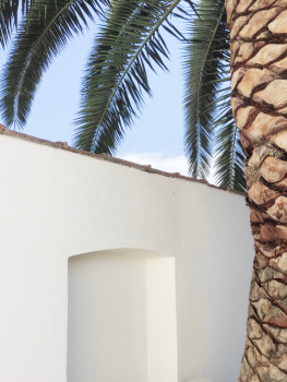 picture of Patios & Terraces 