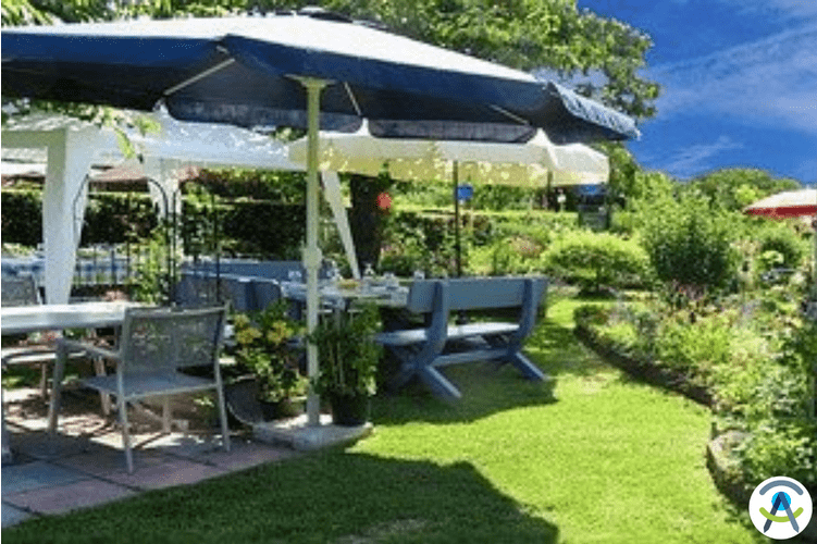 10 tendenze per il tuo giardino! 