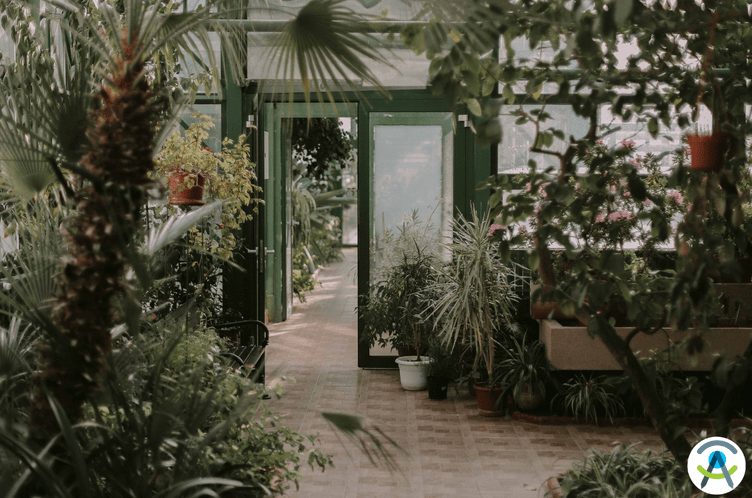 10 tendenze per il tuo giardino!