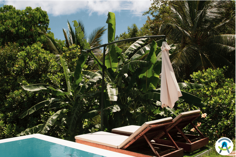 10 tendenze per il tuo giardino!