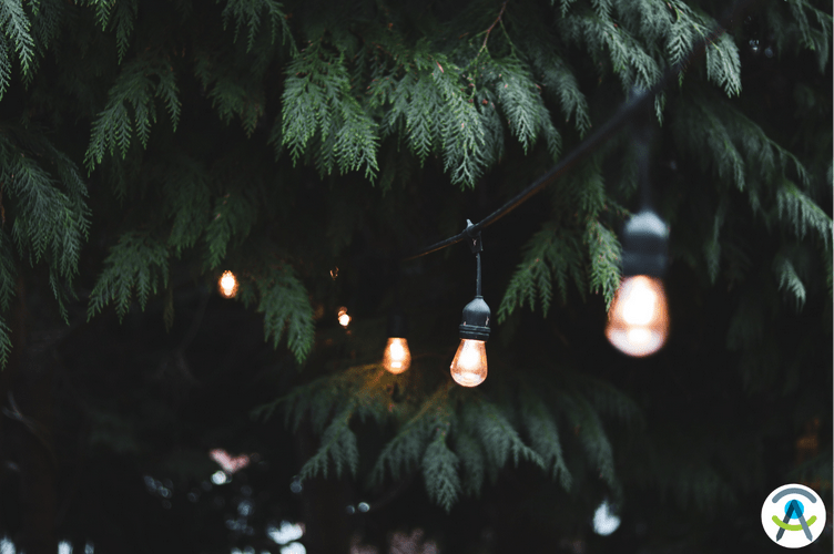 10 tendenze per il tuo giardino!