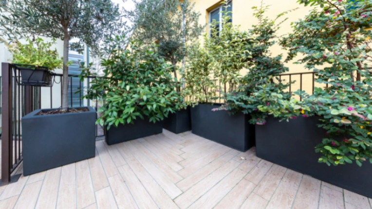 Landscape Design