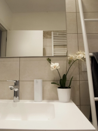 Single-Family Homes, New Build, Interior Architecture & Design, Flats / Apartments, Contemporary, modern